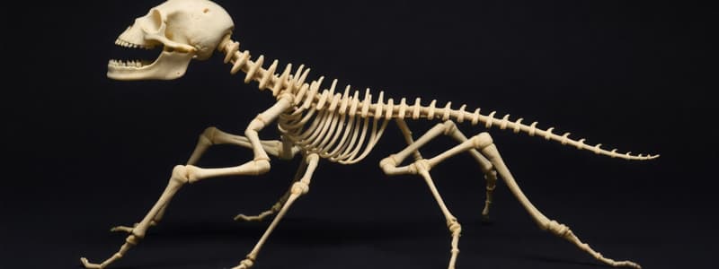 Exoskeletons vs. Endoskeletons