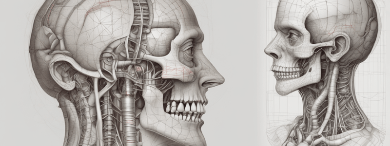 Thoracic Cavity Anatomy Quiz