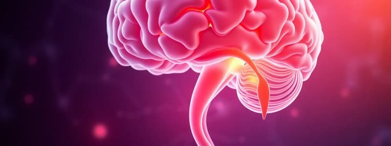 Hypothalamus and Pituitary Hormones Overview