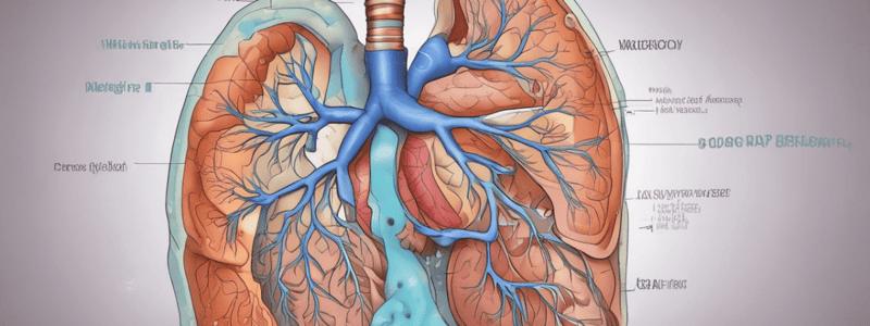 Respiratory Medicine: Dyspnoea, Wheeze, and Upper Respiratory Tract Infections