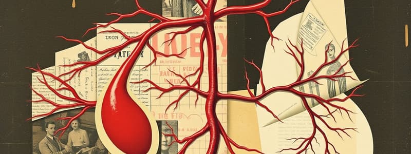 Circulatory System Overview