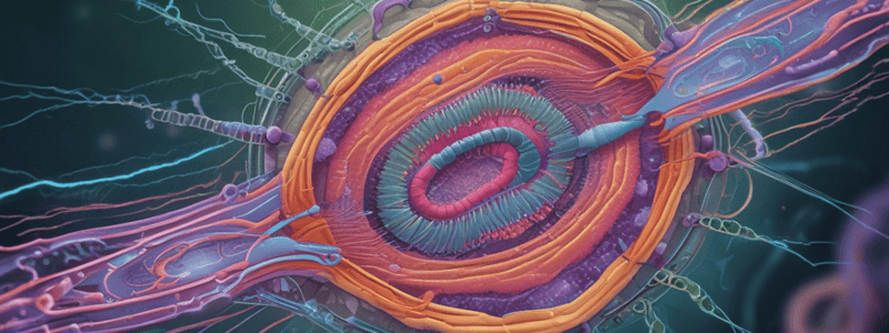 Cilia Structure and Composition