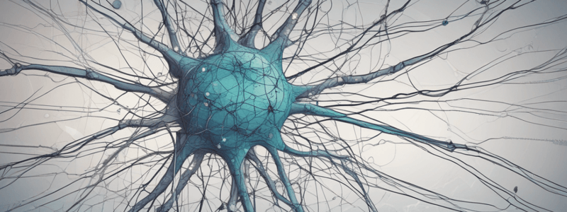 Introduction to Neuronal Networks