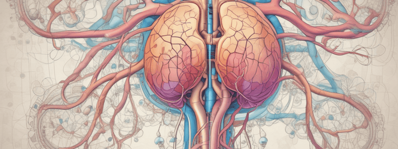 Renal Alterations Nursing Quiz