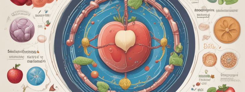 Food Biochemistry: Lipids Metabolism