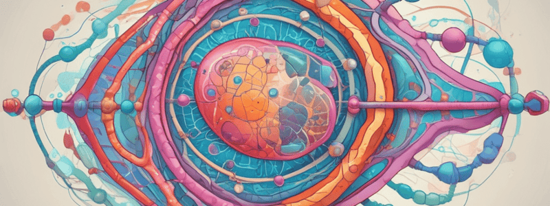 Eukaryotic Gene Control Region