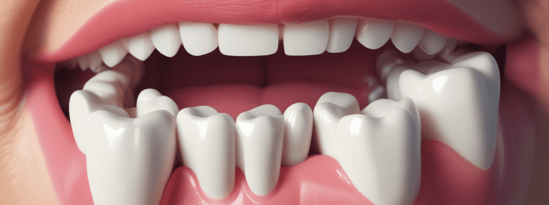 Dental Bonding: Enamel vs Dentin