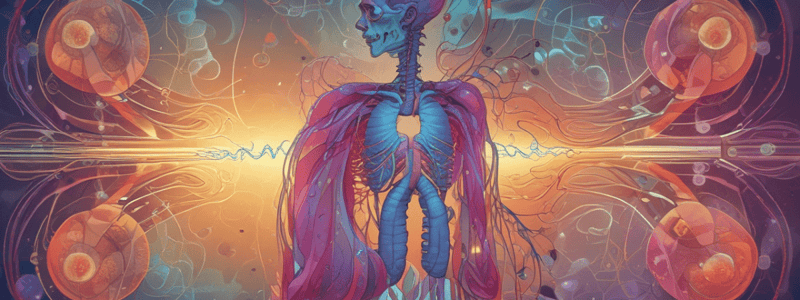 Respiratory System: Gas Exchange