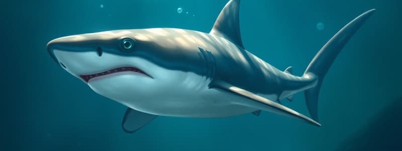 Sharks Biology Quiz