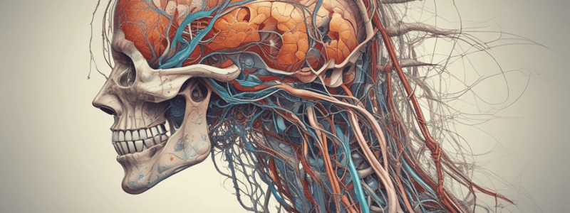 Gr 9 NATURAL SCIENCES: CH 1.2 The musculoskeletal system