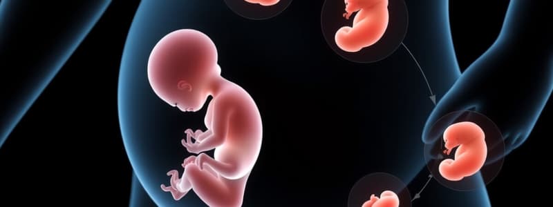 Fetal Development Stages Module 2.3