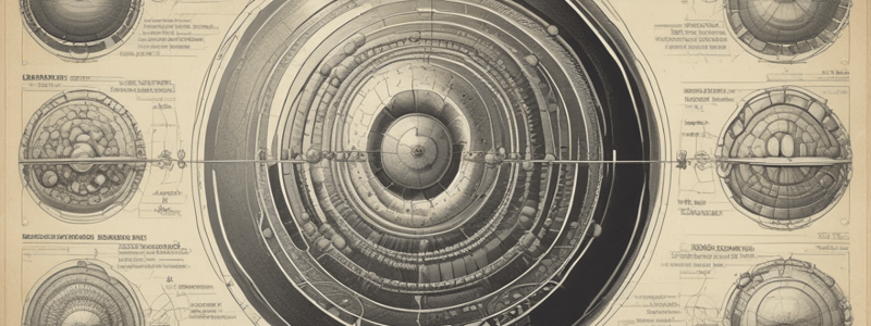 Human Development: Gastrulation Process