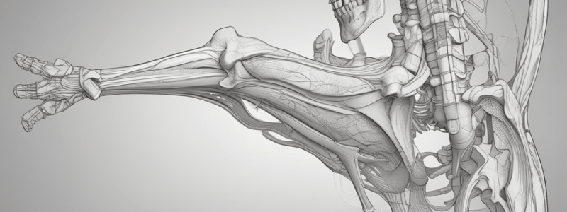 Arthrokinematics of the Pelvis