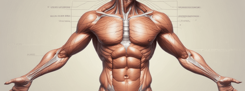 Anatomy: Endocrine System and Epicranial Aponeurosis Quiz