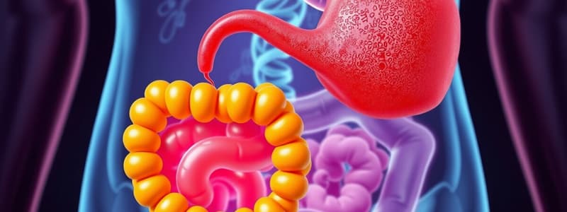 Digestion and Absorption of Lipids - DEM Y2