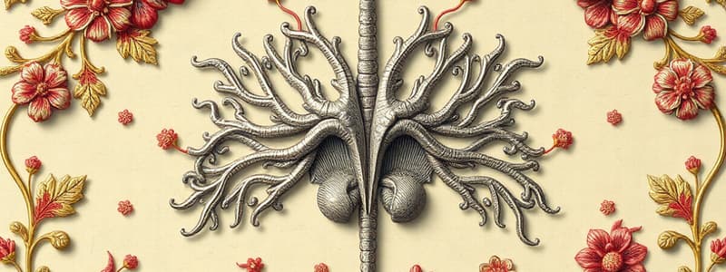 endocrine and kidney diseases - zacchetti