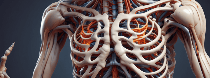 ANATOMY AND PHYSIOLOGY JOINTS