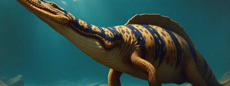 New Ichthyosaur Species Discovered