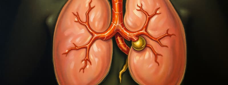 Adrenal Disorders Overview