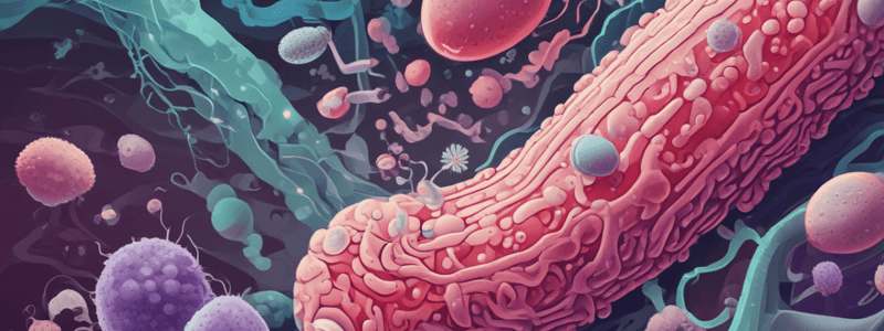 2.3 Mechanisms of Antibiotics Resistance