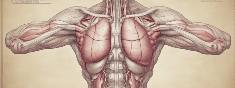 Histology of Endocrine glands (T&F)