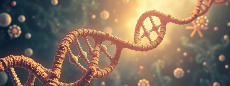 Biology Chapter: DNA Replication