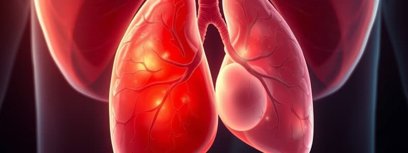 Lung Hypoplasia and Mesoderm Development