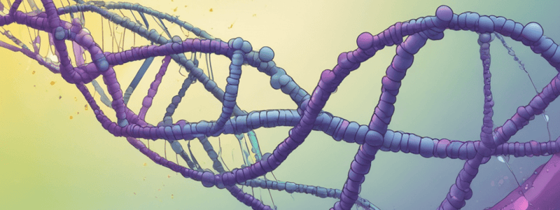 DNA Transcription Overview