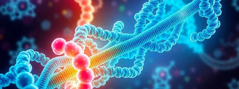 Protein Biosynthesis Overview