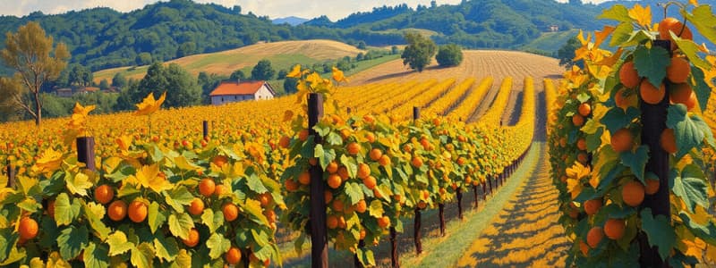 Manejo de cepas y frenos en viticultura