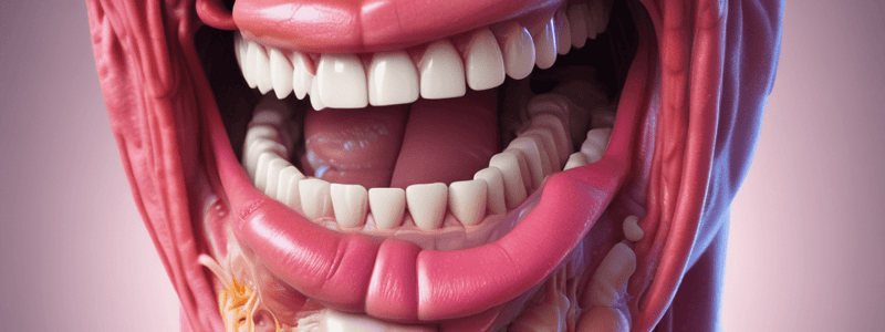 Appetite Center and Mouth Anatomy