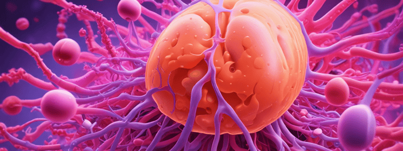 24.6 Reabsorption and Secretion in Tubules and Collecting Ducts