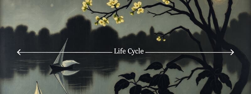 Software Life Cycle & HCI