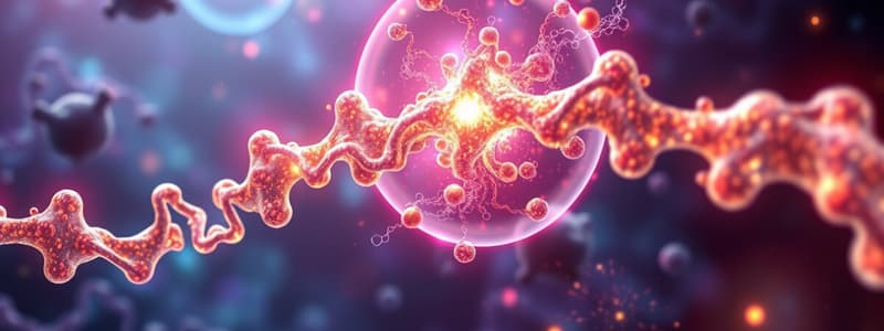 Biochemistry Nucleotide Metabolism Part 2