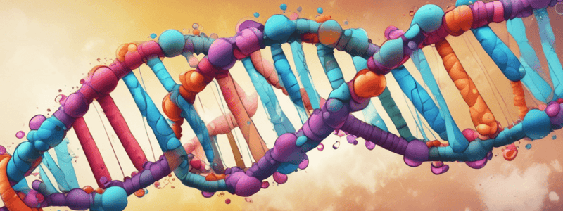 DNA Replication and Enzymes