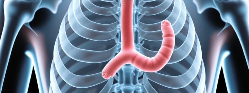 Hypoparathyroidism Overview and PTH Functions