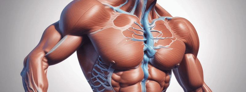 Muscle Bio Week 3: Fuel Delivery and Storage in Skeletal Muscle