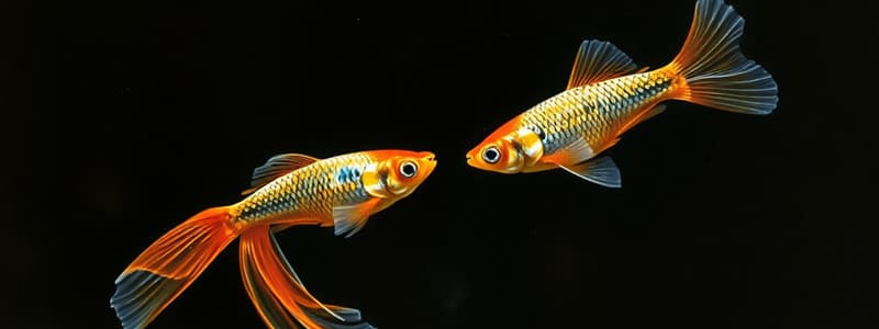 Evolution Mechanisms and Guppy Experiments