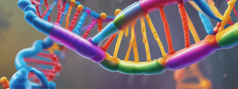 Proteins and DNA Structure Quiz