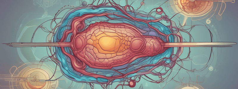 Lipid Metabolism Overview