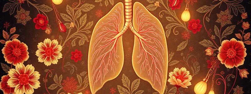 Arterial Blood Gases Quiz