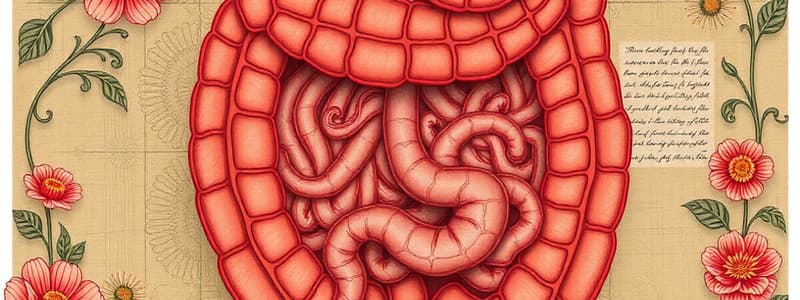 Intestinal Obstruction Overview