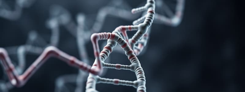 DNA Structure Overview