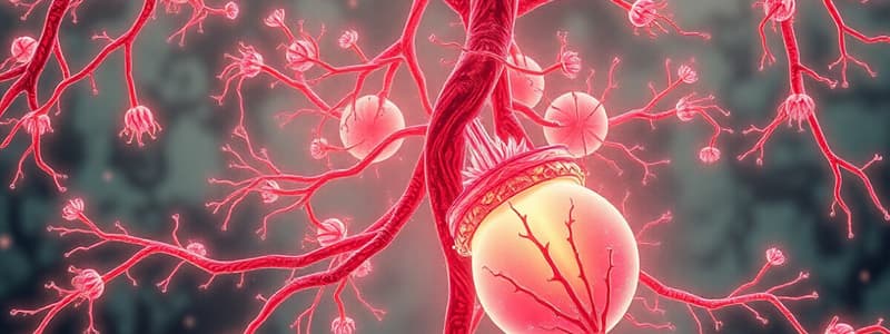 Lymphatics and Capillary Structure