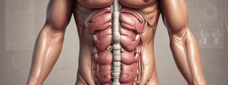 Hypotonic Colon and Urinary Retention Quiz