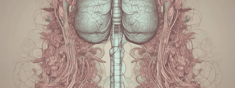 Healthcare Unit 4: Respiratory System and Drugs