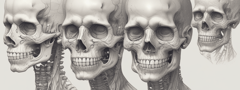 Post-natal Growth of the Skull