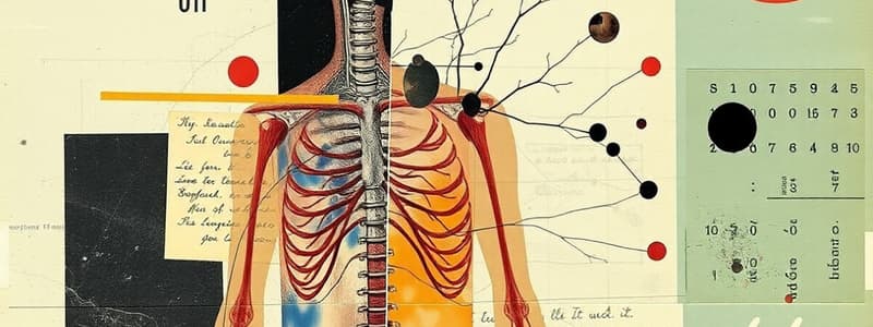 Motor Systems and Sympathetic Nervous System