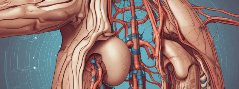 The Urinary System: Functions and Processes