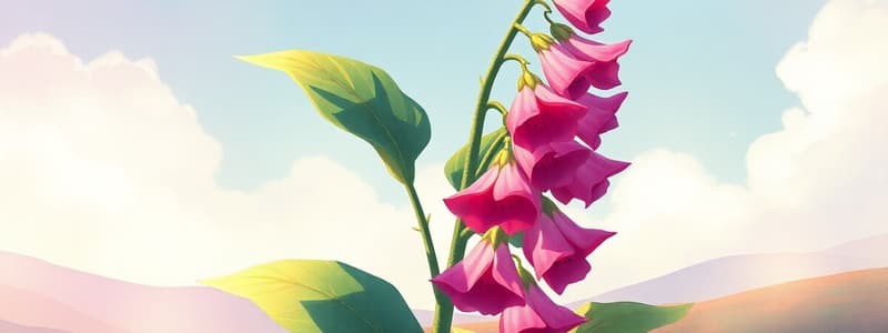 Plant Poisons and Digitalis Effects